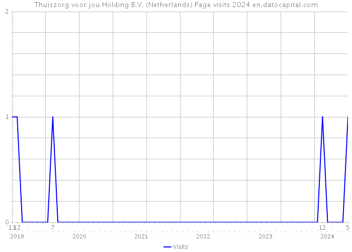 Thuiszorg voor jou Holding B.V. (Netherlands) Page visits 2024 