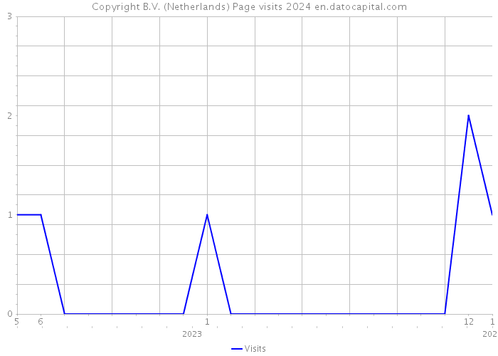 Copyright B.V. (Netherlands) Page visits 2024 