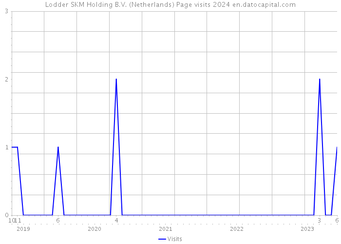 Lodder SKM Holding B.V. (Netherlands) Page visits 2024 