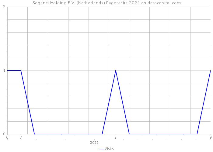 Soganci Holding B.V. (Netherlands) Page visits 2024 