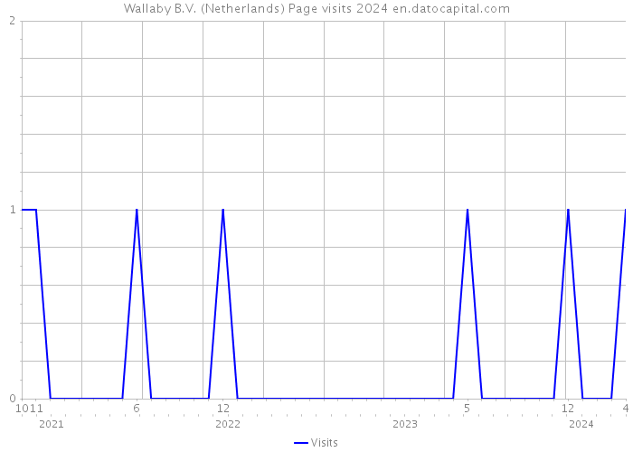 Wallaby B.V. (Netherlands) Page visits 2024 