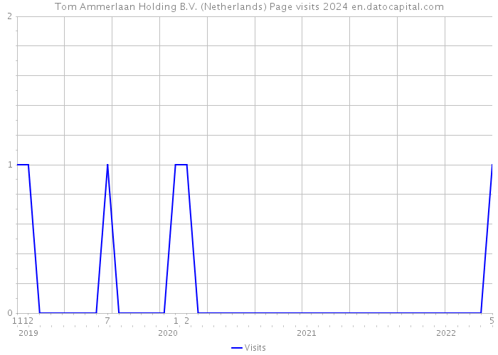 Tom Ammerlaan Holding B.V. (Netherlands) Page visits 2024 