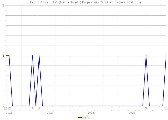 J. Bruin Buizen B.V. (Netherlands) Page visits 2024 