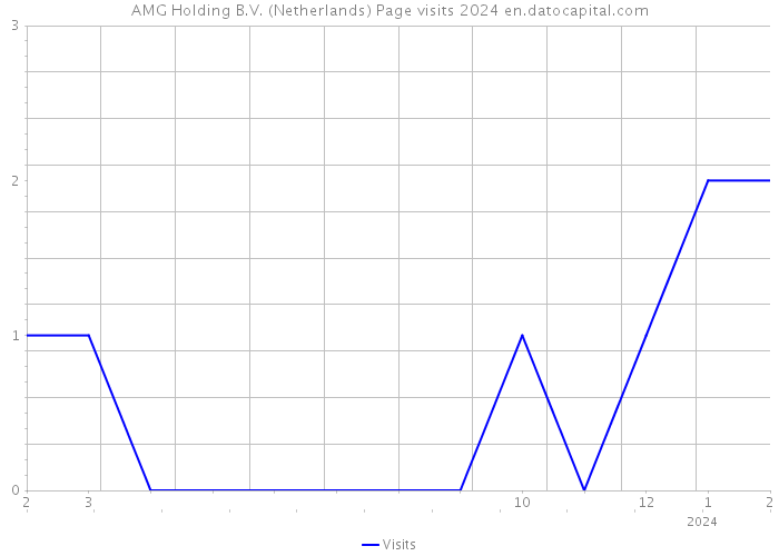 AMG Holding B.V. (Netherlands) Page visits 2024 
