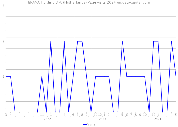 BRAVA Holding B.V. (Netherlands) Page visits 2024 