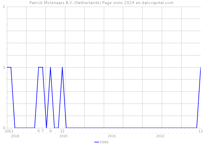 Patrick Molenaars B.V. (Netherlands) Page visits 2024 