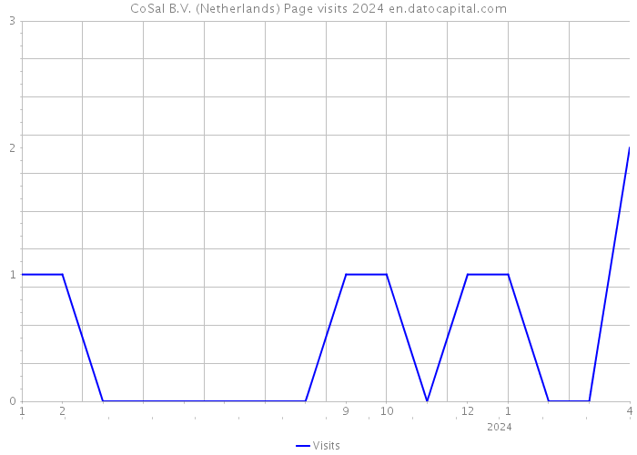 CoSal B.V. (Netherlands) Page visits 2024 