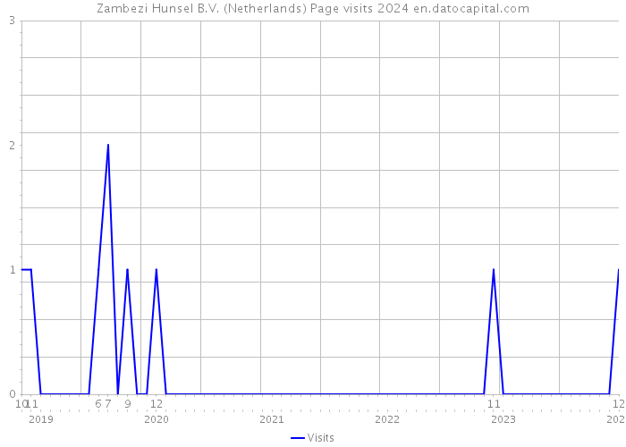 Zambezi Hunsel B.V. (Netherlands) Page visits 2024 