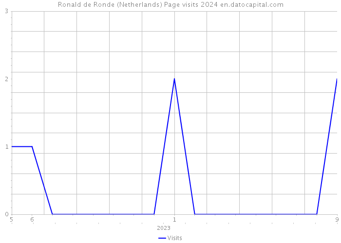 Ronald de Ronde (Netherlands) Page visits 2024 