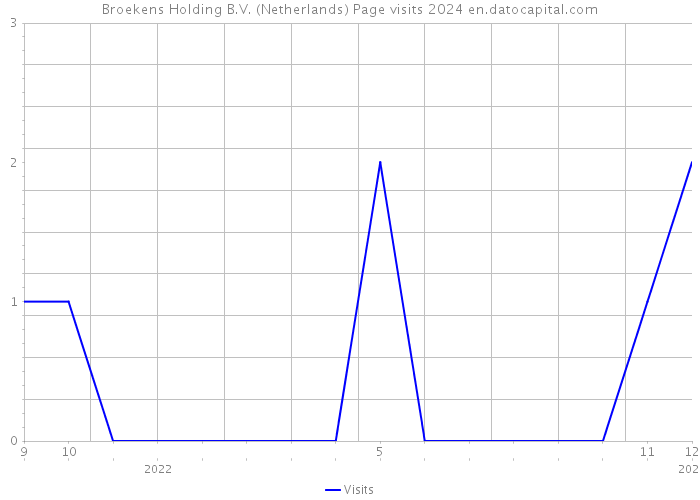 Broekens Holding B.V. (Netherlands) Page visits 2024 