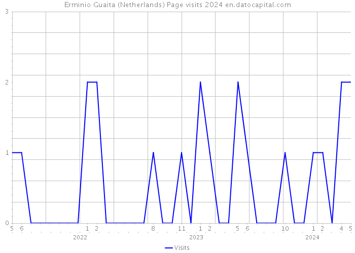Erminio Guaita (Netherlands) Page visits 2024 