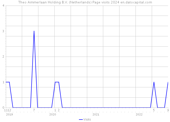 Theo Ammerlaan Holding B.V. (Netherlands) Page visits 2024 