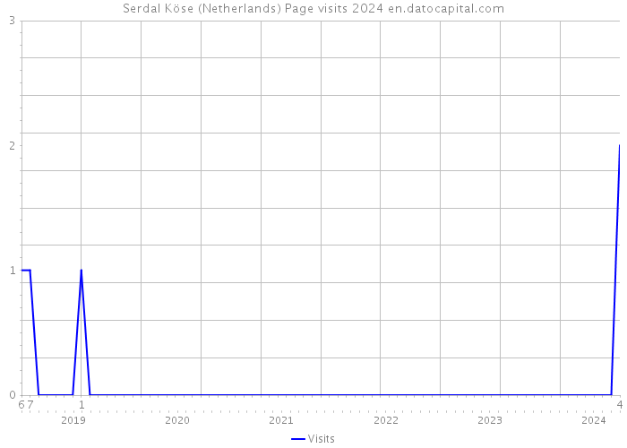 Serdal Köse (Netherlands) Page visits 2024 