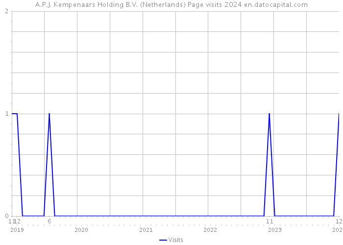 A.P.J. Kempenaars Holding B.V. (Netherlands) Page visits 2024 