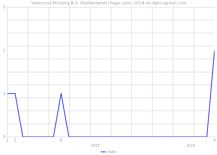 Verkroost Holding B.V. (Netherlands) Page visits 2024 