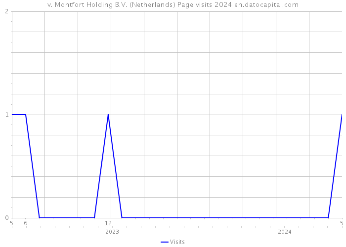 v. Montfort Holding B.V. (Netherlands) Page visits 2024 