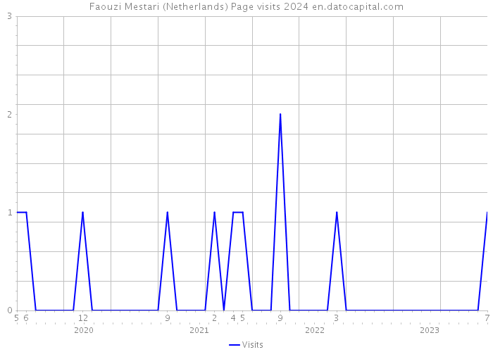 Faouzi Mestari (Netherlands) Page visits 2024 