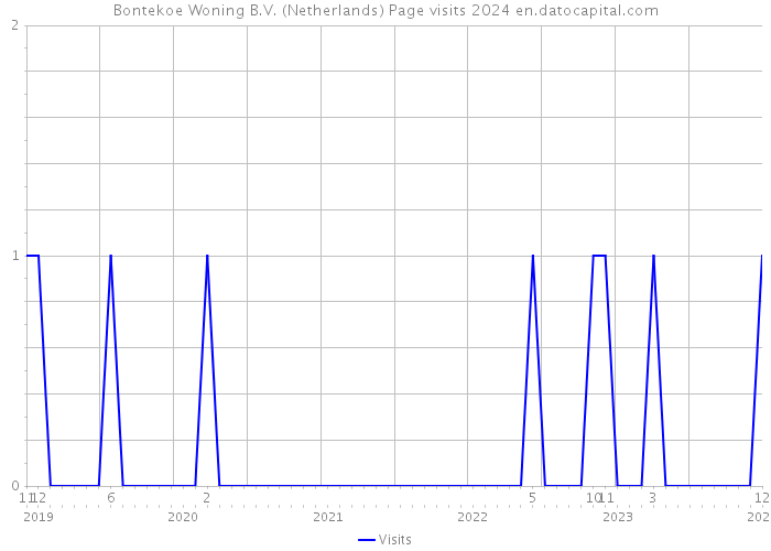 Bontekoe Woning B.V. (Netherlands) Page visits 2024 