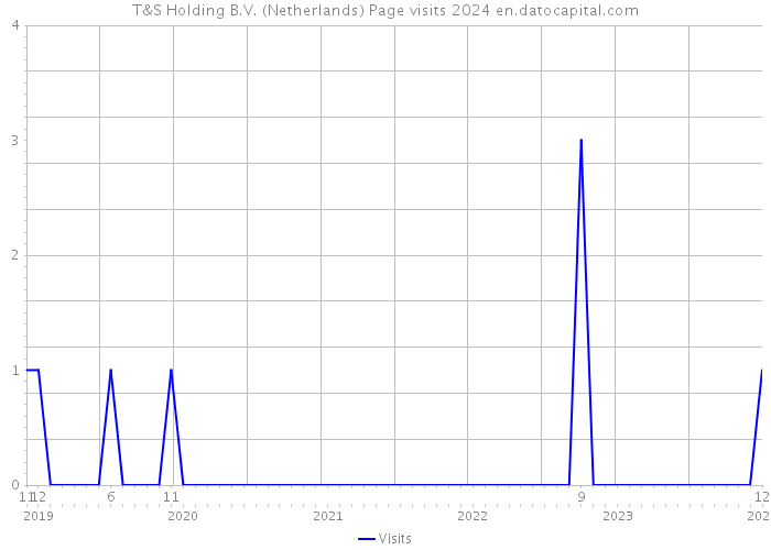 T&S Holding B.V. (Netherlands) Page visits 2024 
