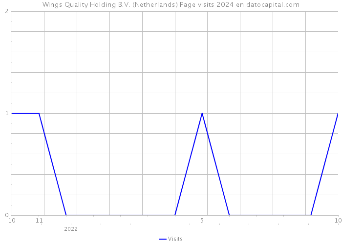 Wings Quality Holding B.V. (Netherlands) Page visits 2024 