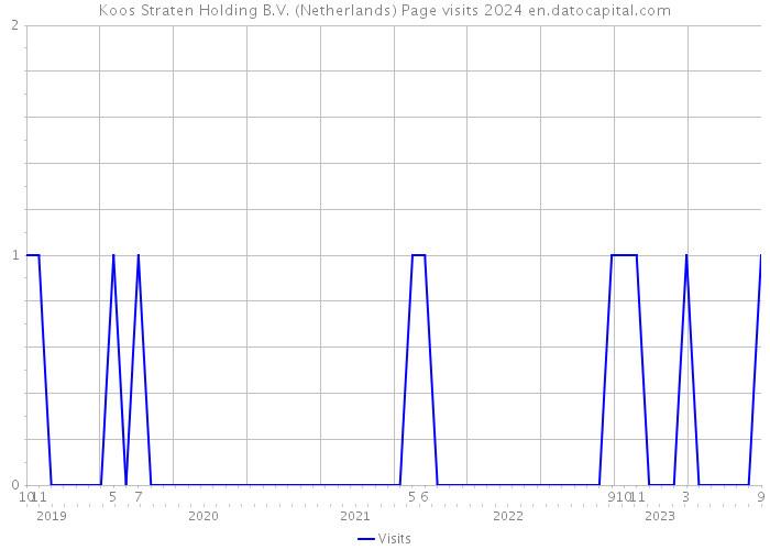 Koos Straten Holding B.V. (Netherlands) Page visits 2024 