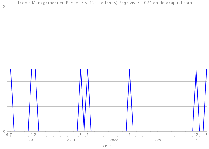 Teddis Management en Beheer B.V. (Netherlands) Page visits 2024 