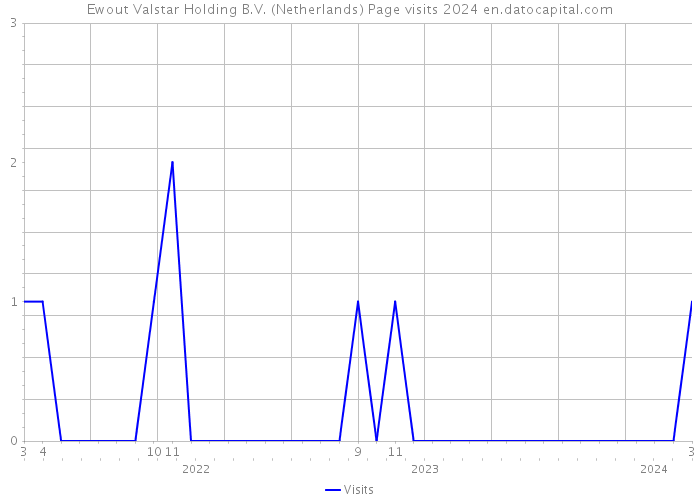 Ewout Valstar Holding B.V. (Netherlands) Page visits 2024 
