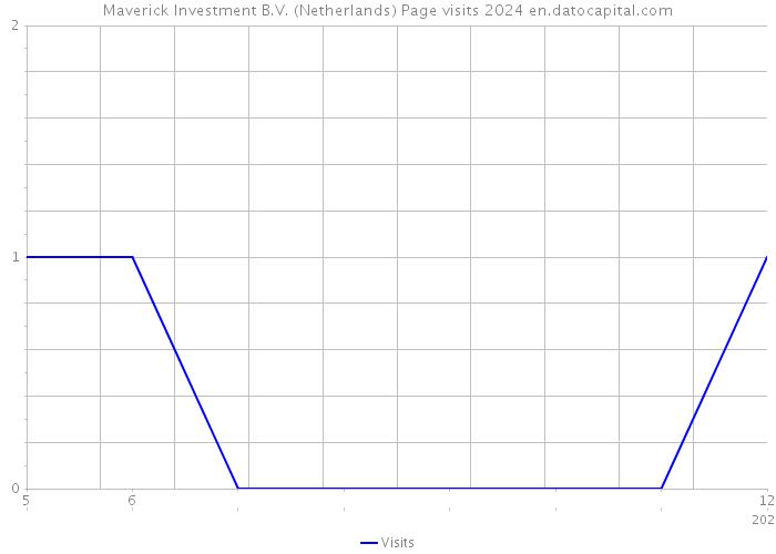 Maverick Investment B.V. (Netherlands) Page visits 2024 