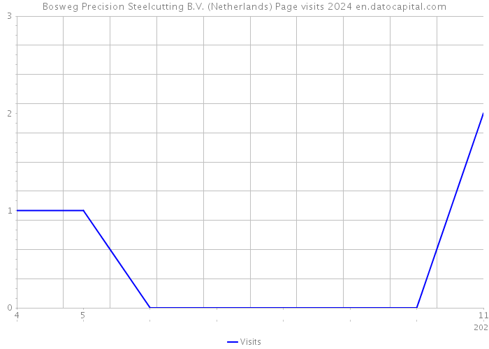 Bosweg Precision Steelcutting B.V. (Netherlands) Page visits 2024 