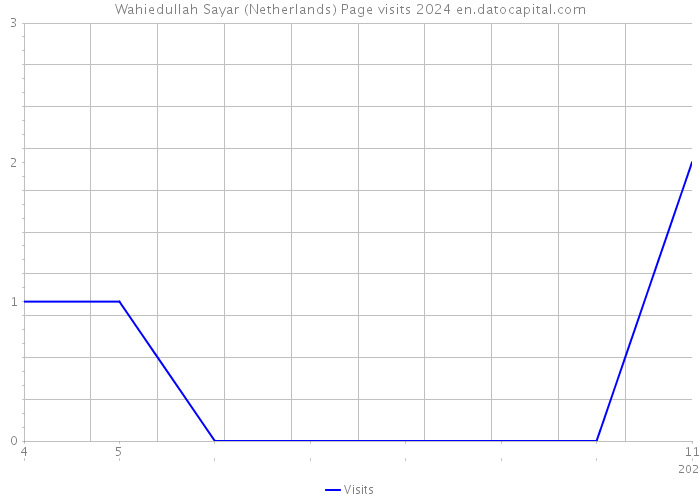 Wahiedullah Sayar (Netherlands) Page visits 2024 