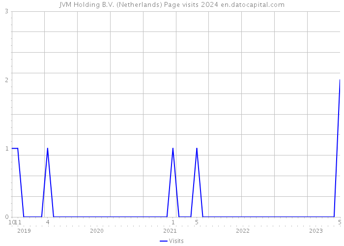 JVM Holding B.V. (Netherlands) Page visits 2024 