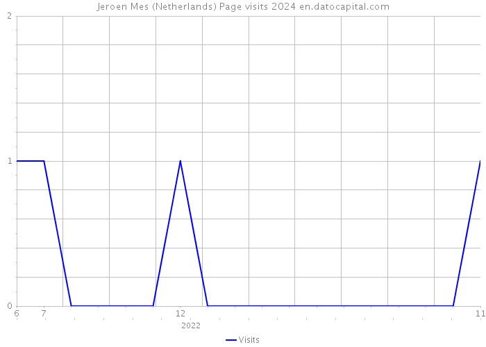Jeroen Mes (Netherlands) Page visits 2024 