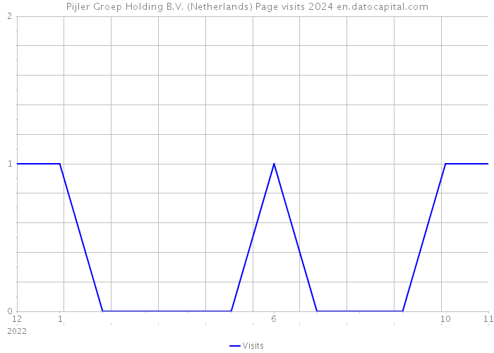 Pijler Groep Holding B.V. (Netherlands) Page visits 2024 