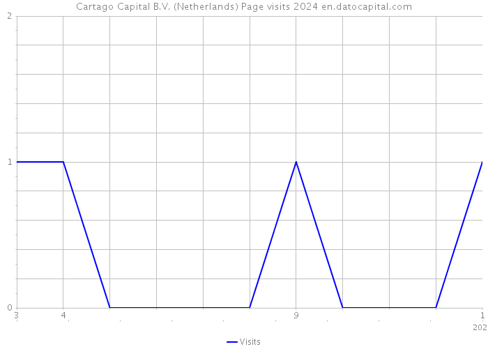 Cartago Capital B.V. (Netherlands) Page visits 2024 