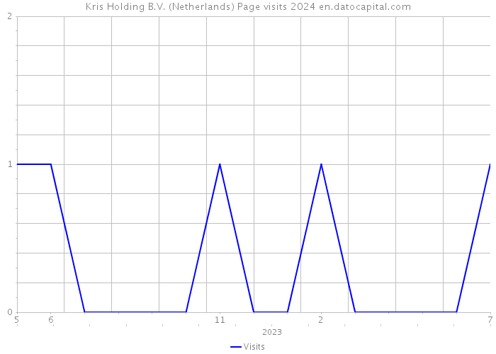 Kris Holding B.V. (Netherlands) Page visits 2024 