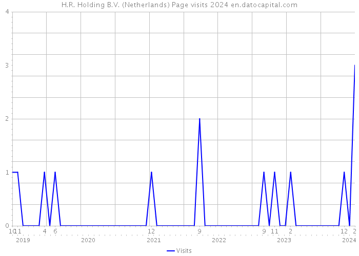 H.R. Holding B.V. (Netherlands) Page visits 2024 