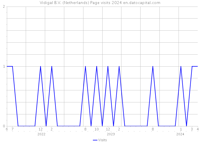 Vidigal B.V. (Netherlands) Page visits 2024 