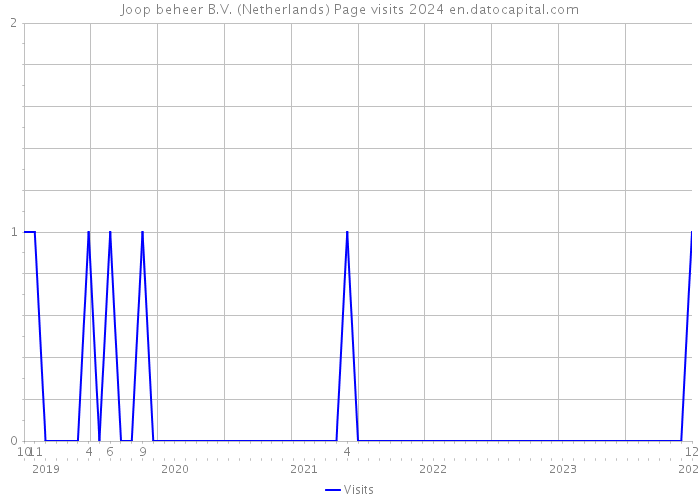 Joop beheer B.V. (Netherlands) Page visits 2024 