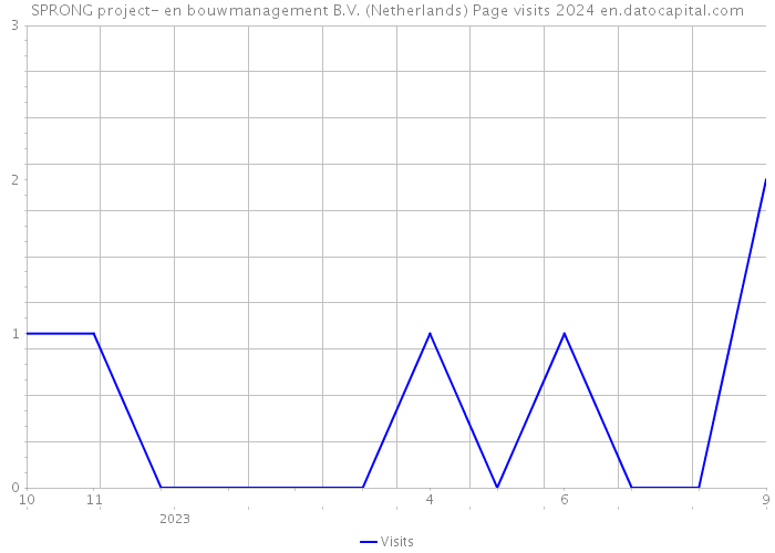 SPRONG project- en bouwmanagement B.V. (Netherlands) Page visits 2024 
