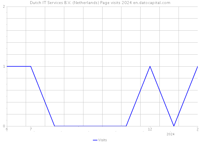 Dutch IT Services B.V. (Netherlands) Page visits 2024 