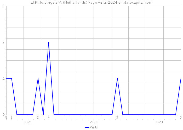 EFR Holdings B.V. (Netherlands) Page visits 2024 