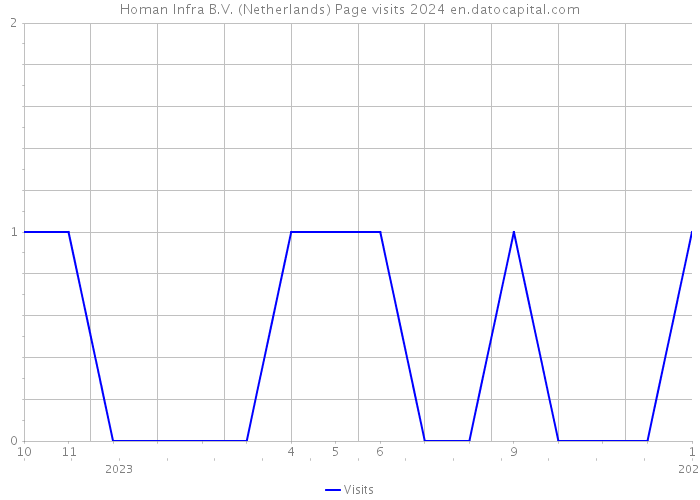Homan Infra B.V. (Netherlands) Page visits 2024 