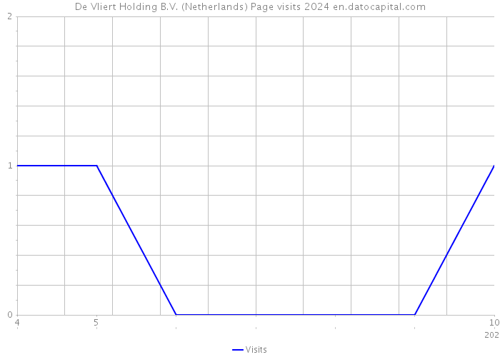 De Vliert Holding B.V. (Netherlands) Page visits 2024 