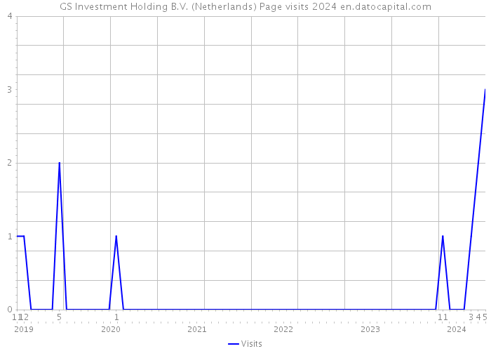 GS Investment Holding B.V. (Netherlands) Page visits 2024 
