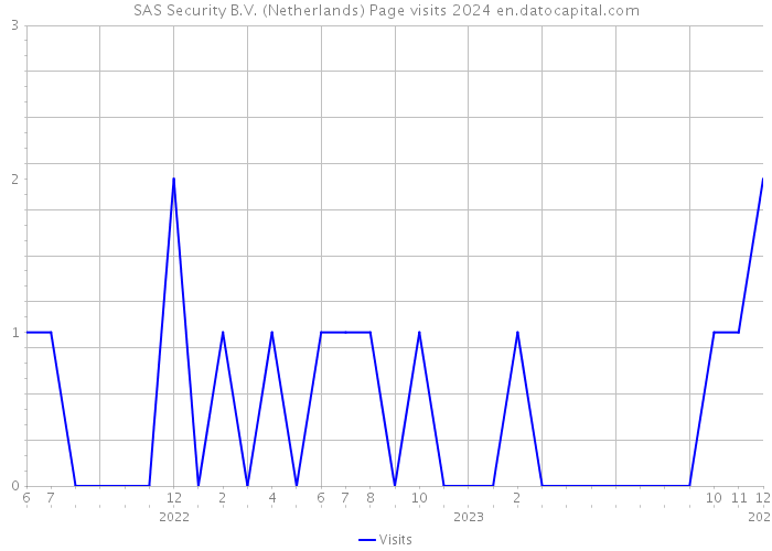 SAS Security B.V. (Netherlands) Page visits 2024 
