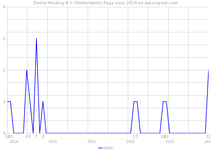 Dental Holding B.V. (Netherlands) Page visits 2024 