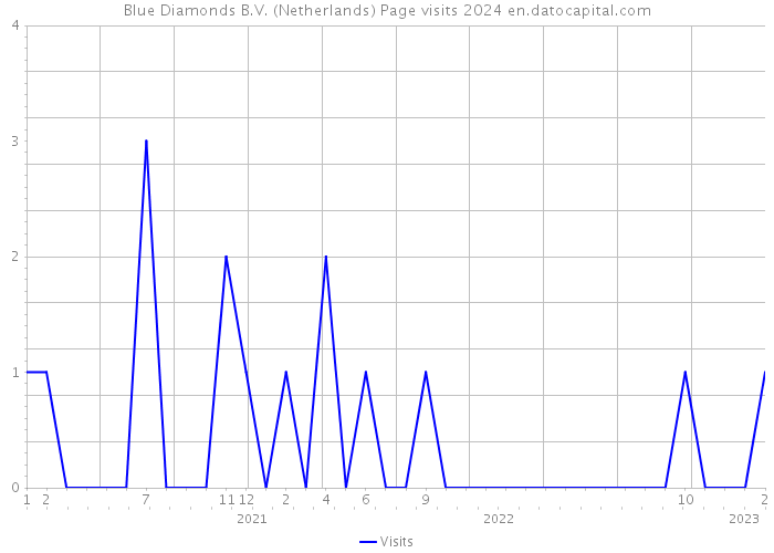 Blue Diamonds B.V. (Netherlands) Page visits 2024 