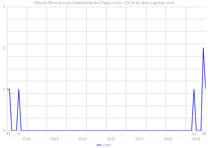 Allium Enterprises (Netherlands) Page visits 2024 