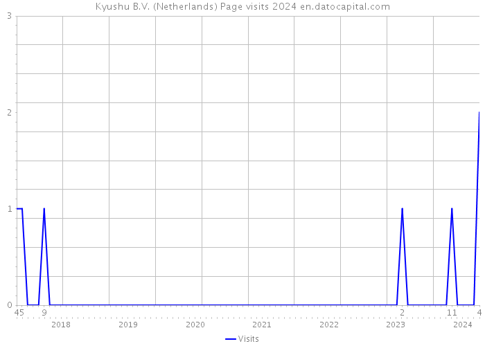 Kyushu B.V. (Netherlands) Page visits 2024 