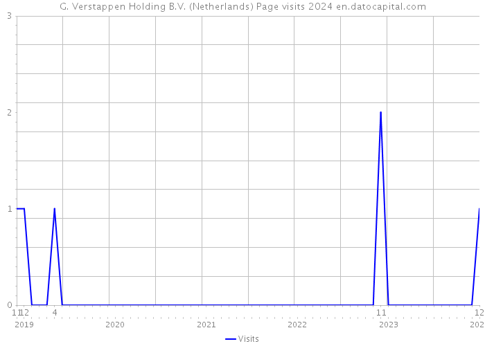 G. Verstappen Holding B.V. (Netherlands) Page visits 2024 
